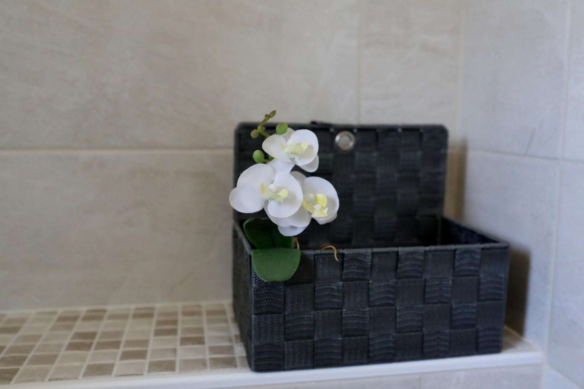 ביבינייה Apartment Sunny Terrace מראה חיצוני תמונה